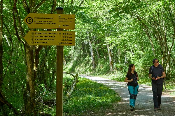 Couple marchant sur la route avec des arbres sur les côtés